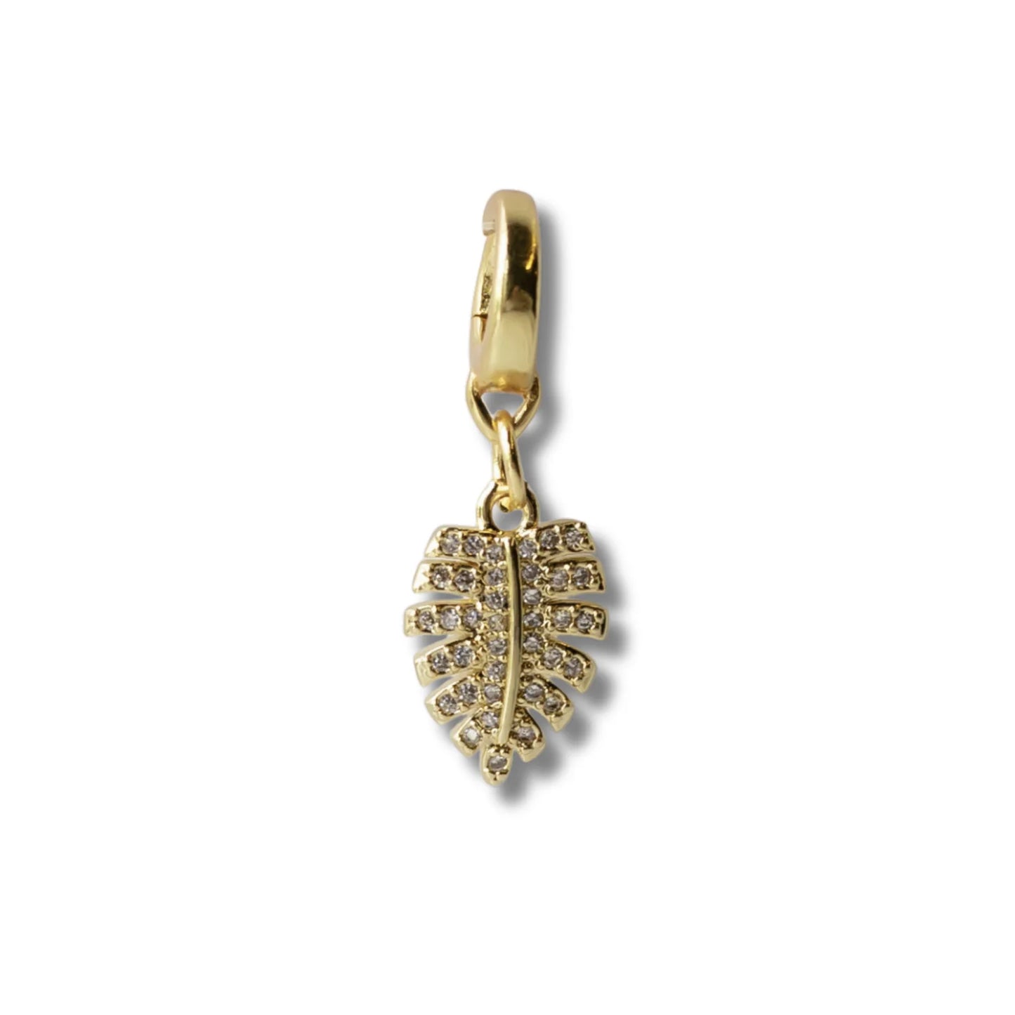 MONSTERA CHARM