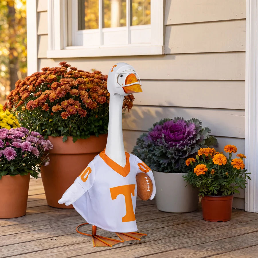 GIDDY GOOSE UNIVERSITY OF TENNESSEE
