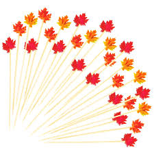 WALL BUCKET FALL PICKS