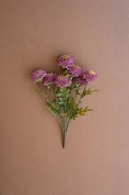 PURPLE DAHLIAS