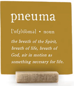 PNUEMA, 4x4