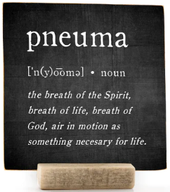 PNUEMA, 4x4