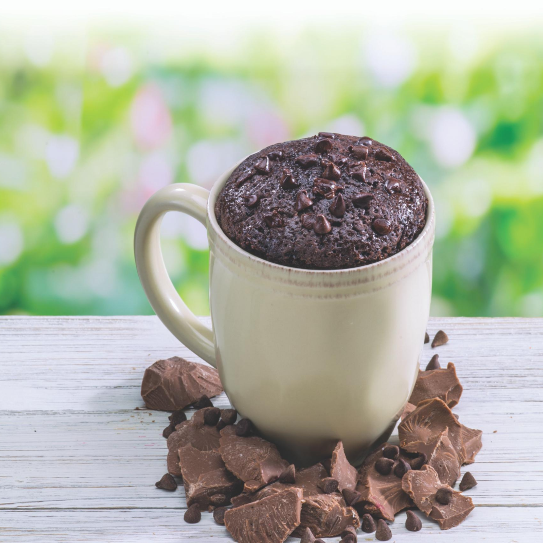 Double Chocolate Chip Microwave Cake Single