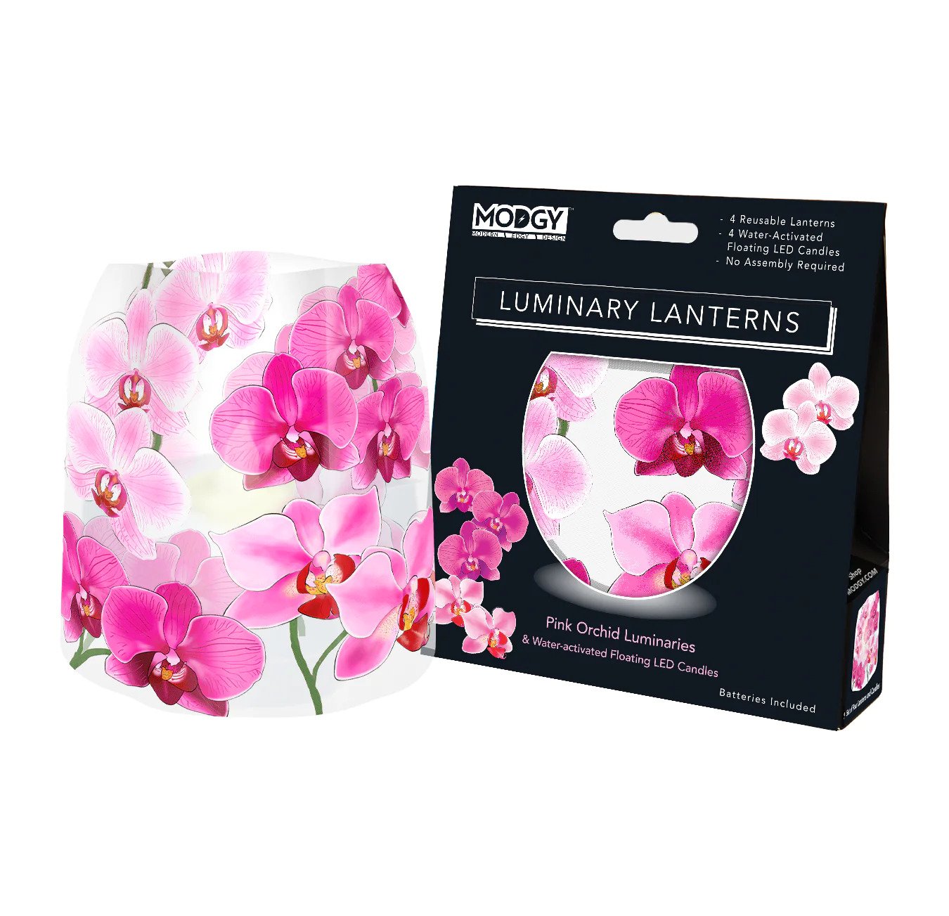 Pink Orchids Luminaries