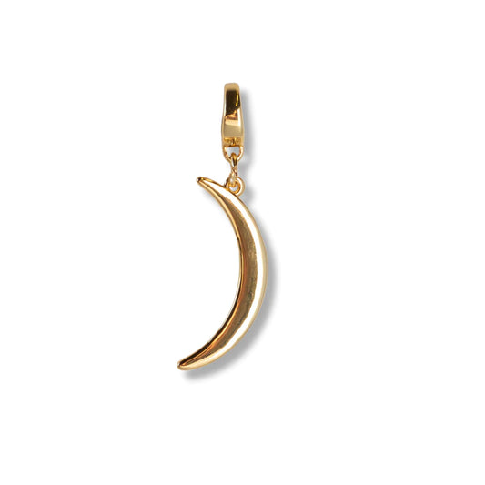 CRESCENT MOON CHARM