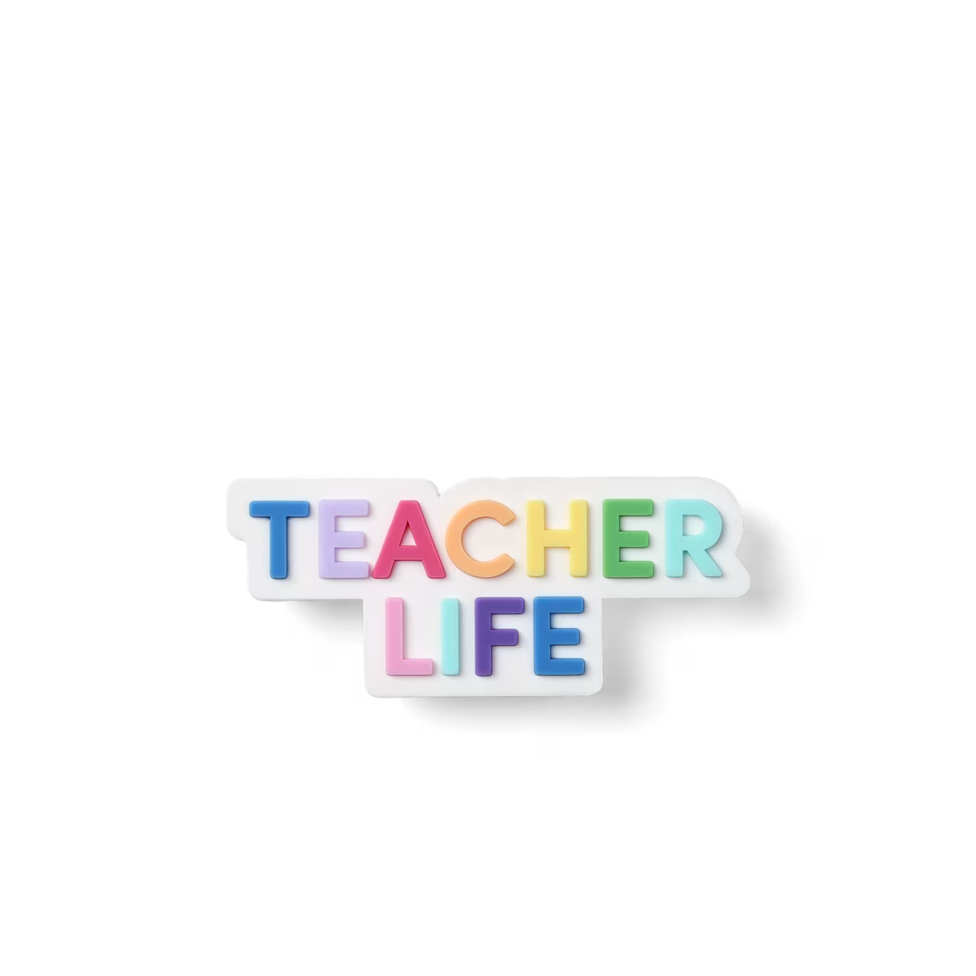 TEACHER LIFE BIT