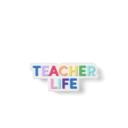 TEACHER LIFE BIT