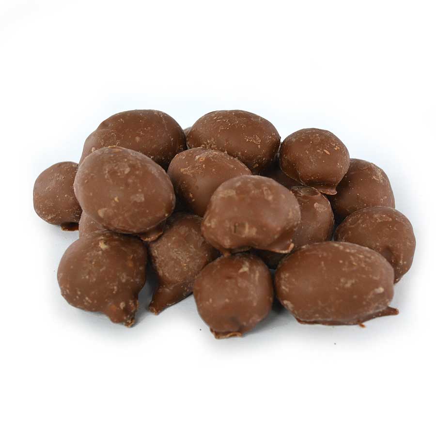 CHOCOLATE DOUBLE DIPPED PEANUTS