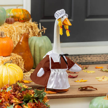 GOOSE OUTFIT HARVEST PILGRIM GIRL