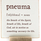 PNUEMA, 4x4