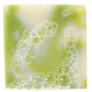Cool Fresh Aloe